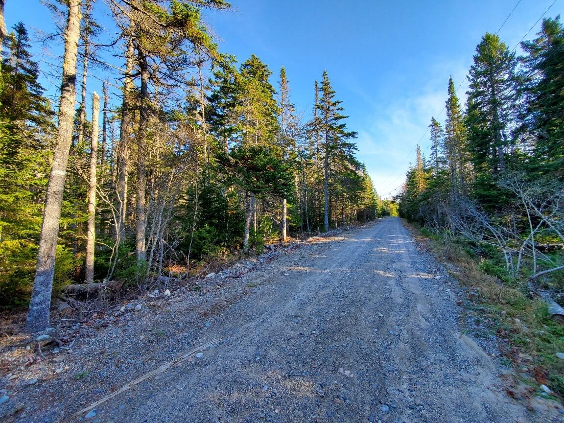 Lot 7 South Ocean Road Machiasport, ME 04655 - Photo 10 of 44 road fng