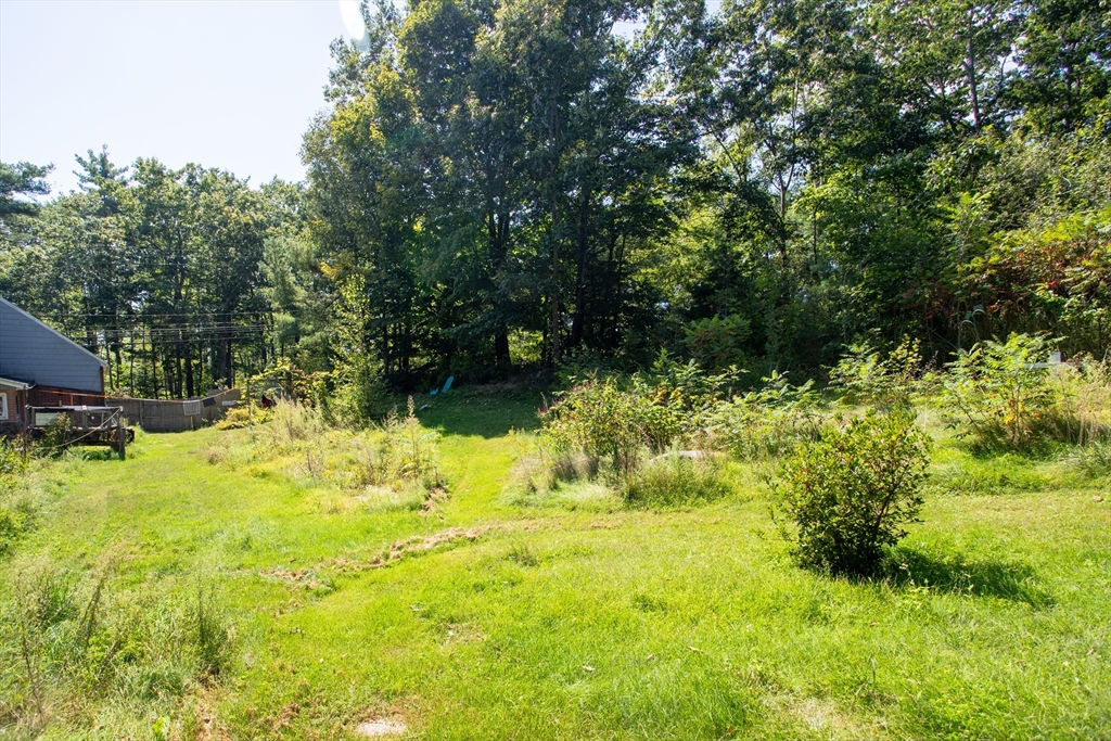 260 State Road Phillipston, MA 01331 - Photo 8 of 42 a view of a garden with plants