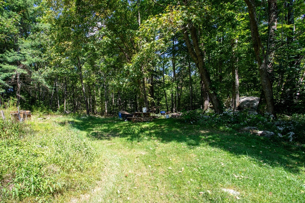 260 State Road Phillipston, MA 01331 - Photo 10 of 42 a view of backyard with green space