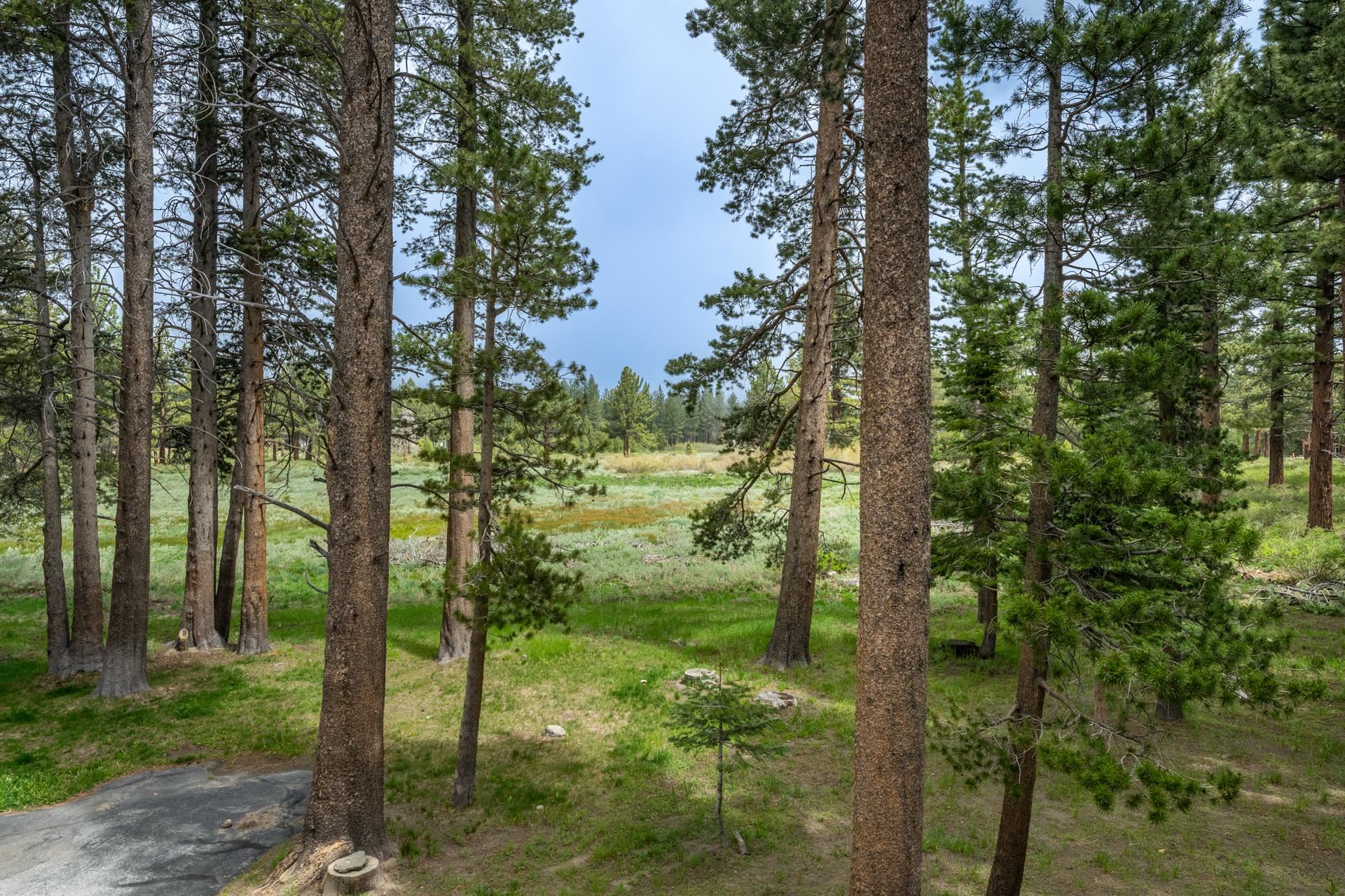272 Ridge Way Mammoth Lakes, CA 93546 - Photo 17 of 55 Mature trees framing expansive natural landscaping