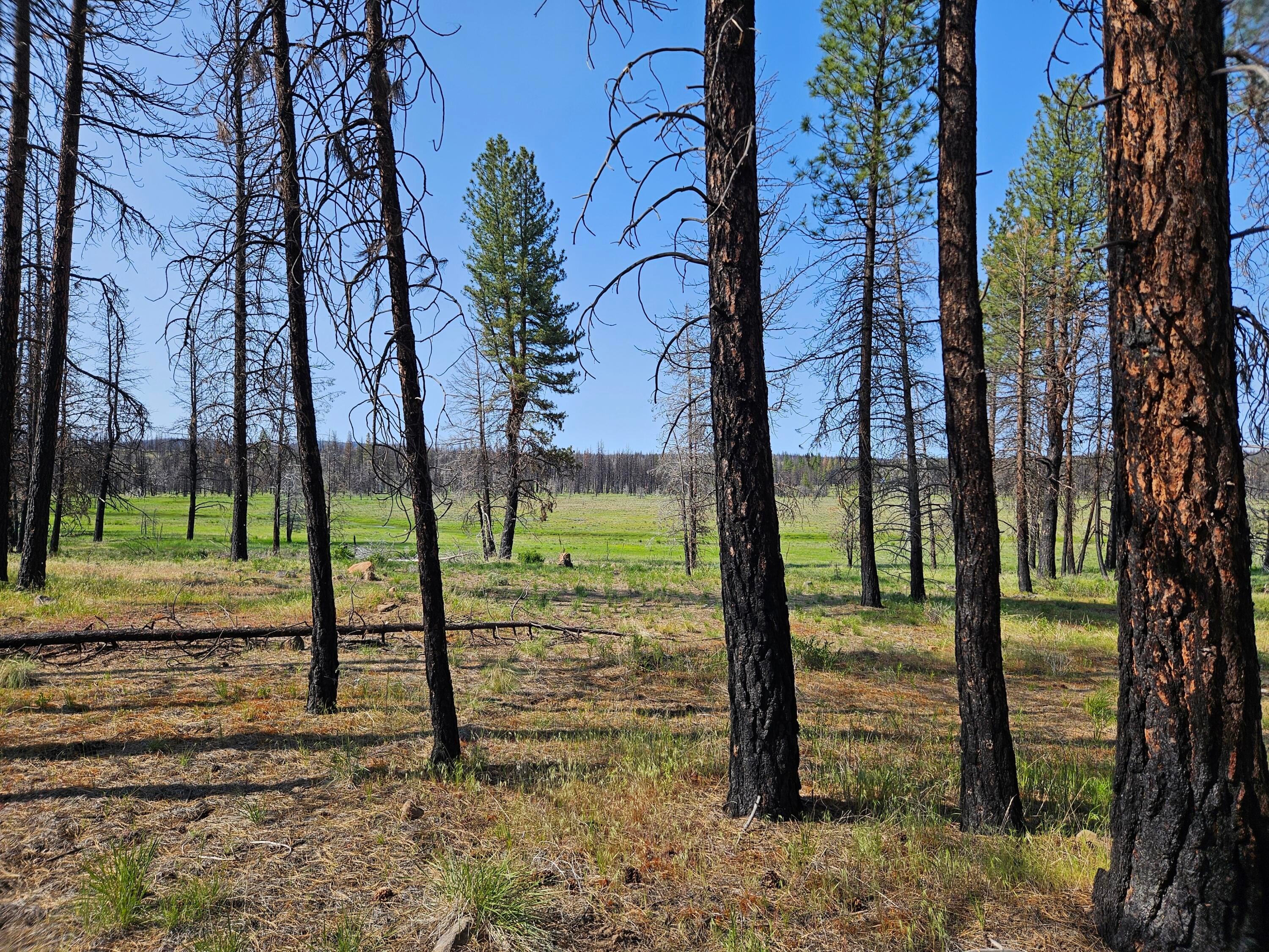 8 Parazoo Trail Bly, OR 97622 - Photo 14 of 27 20250601_165458