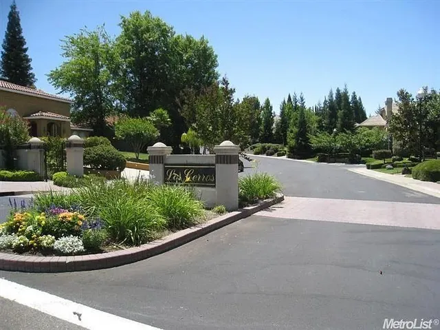 a view of a garden with potted plants