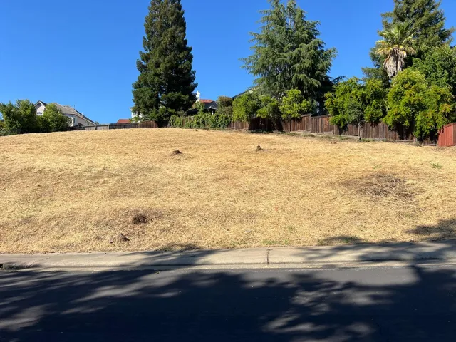 a view of yard with ocean view