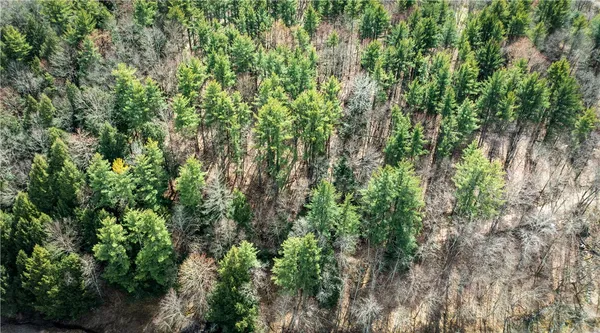 $499,900 | 284 East Spencer Road, Spencer, NY 14883