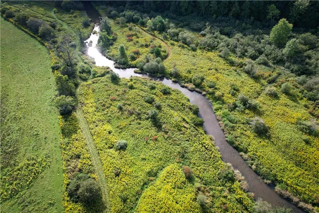 $499,900 | 284 East Spencer Road, Spencer, NY 14883