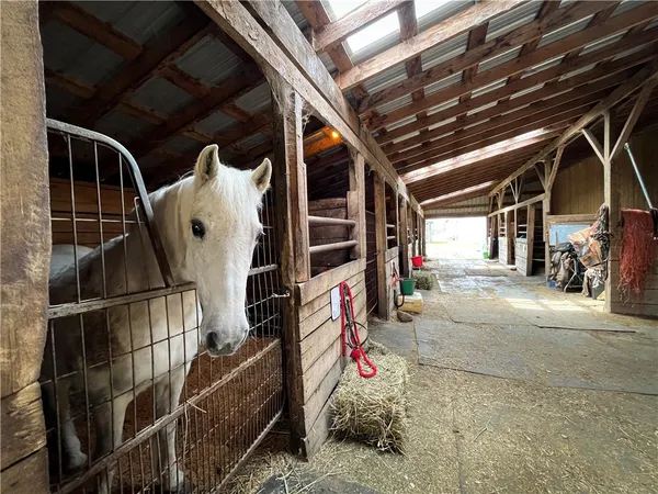 $499,900 | 284 East Spencer Road, Spencer, NY 14883