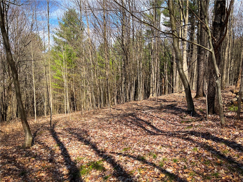 284 East Spencer Road Spencer, NY 14883 - Photo 34 of 50