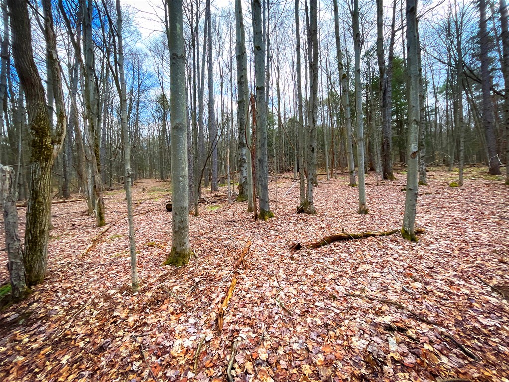 284 East Spencer Road Spencer, NY 14883 - Photo 35 of 50