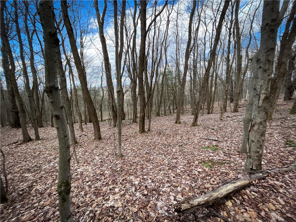 284 East Spencer Road Spencer, NY 14883 - Photo 36 of 50