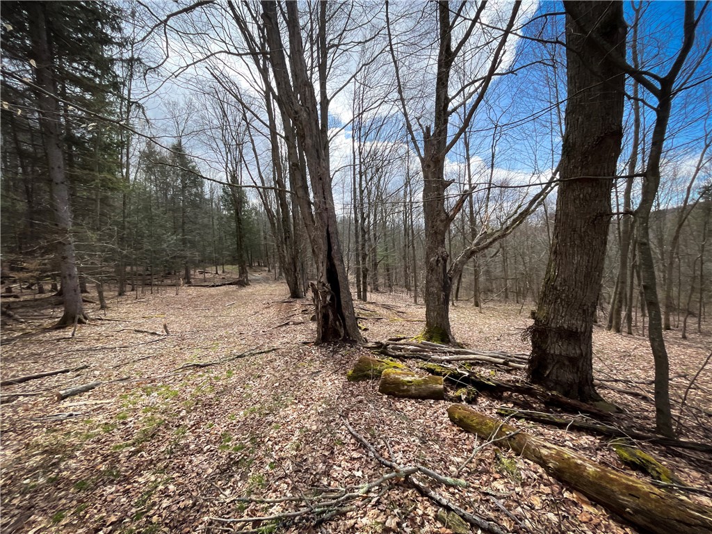 284 East Spencer Road Spencer, NY 14883 - Photo 37 of 50