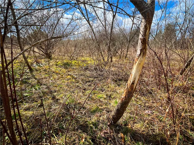 $499,900 | 284 East Spencer Road, Spencer, NY 14883