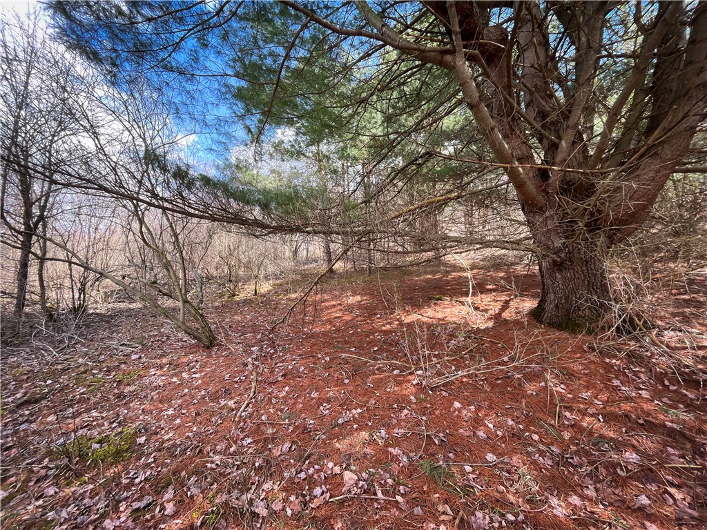 284 East Spencer Road Spencer, NY 14883 - Photo 42 of 50
