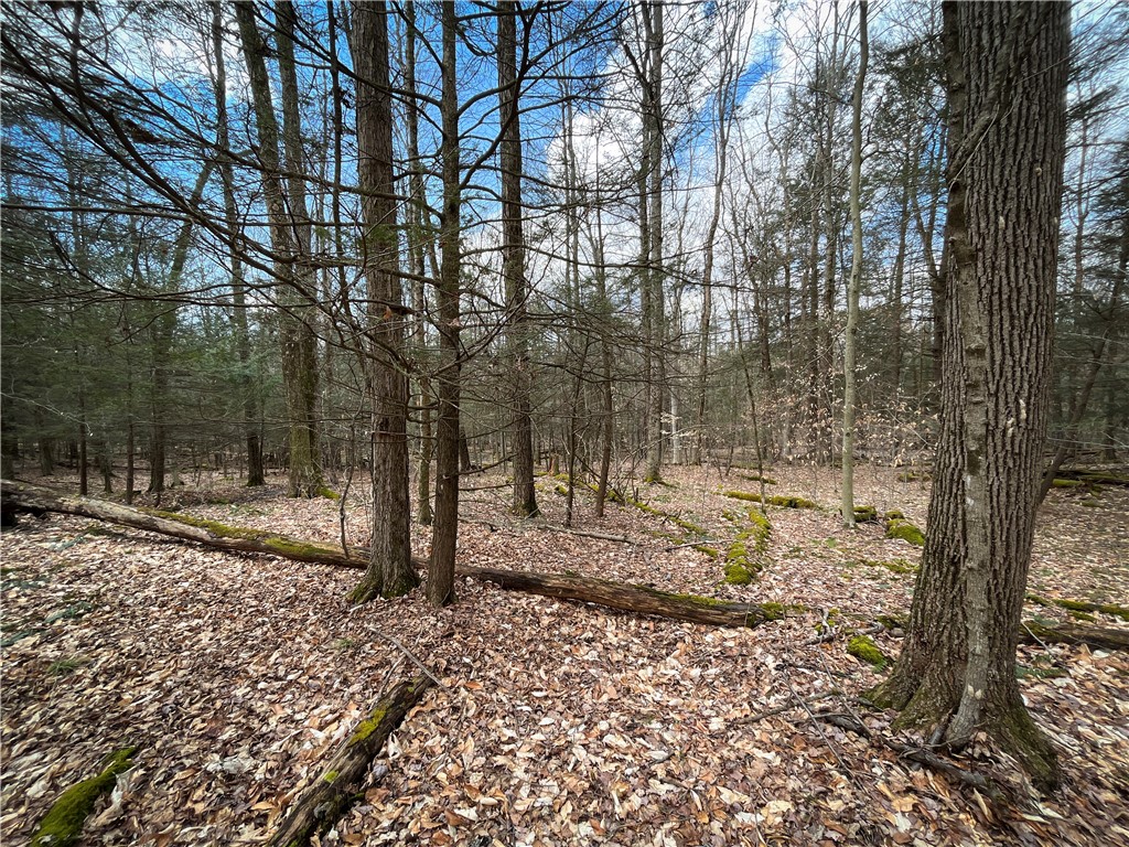 284 East Spencer Road Spencer, NY 14883 - Photo 43 of 50
