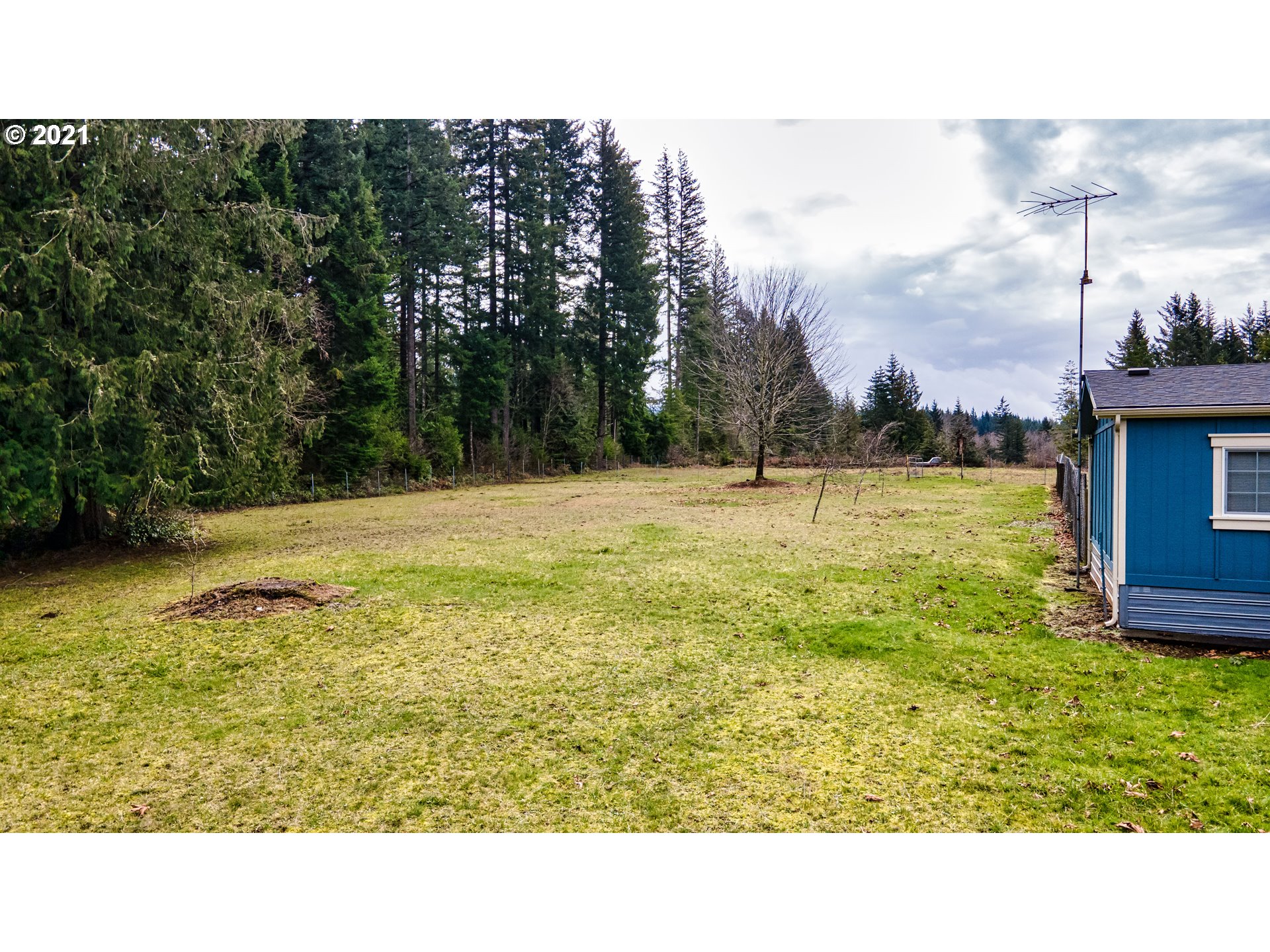 26747 South Shibley Road Colton, OR 97017 - Photo 6 of 13 a view of an swimming pool and a yard