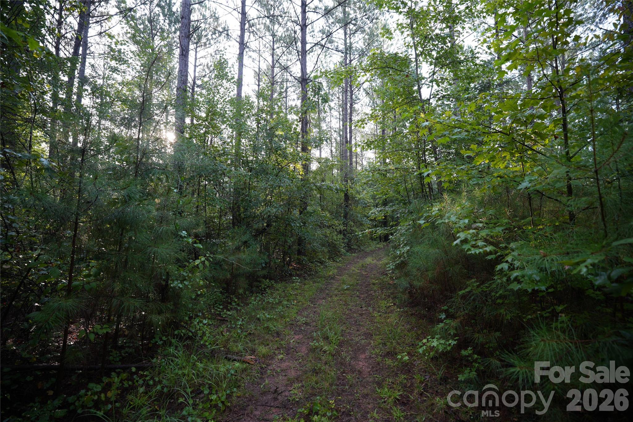 0 Bobby Faucette Road, Unit 5 Jonesville, SC 29353 - Photo 6 of 8 Gallery Image 6
