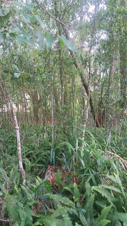 0 Korbus Road Brooksville, FL 34604 - Photo 1 of 1