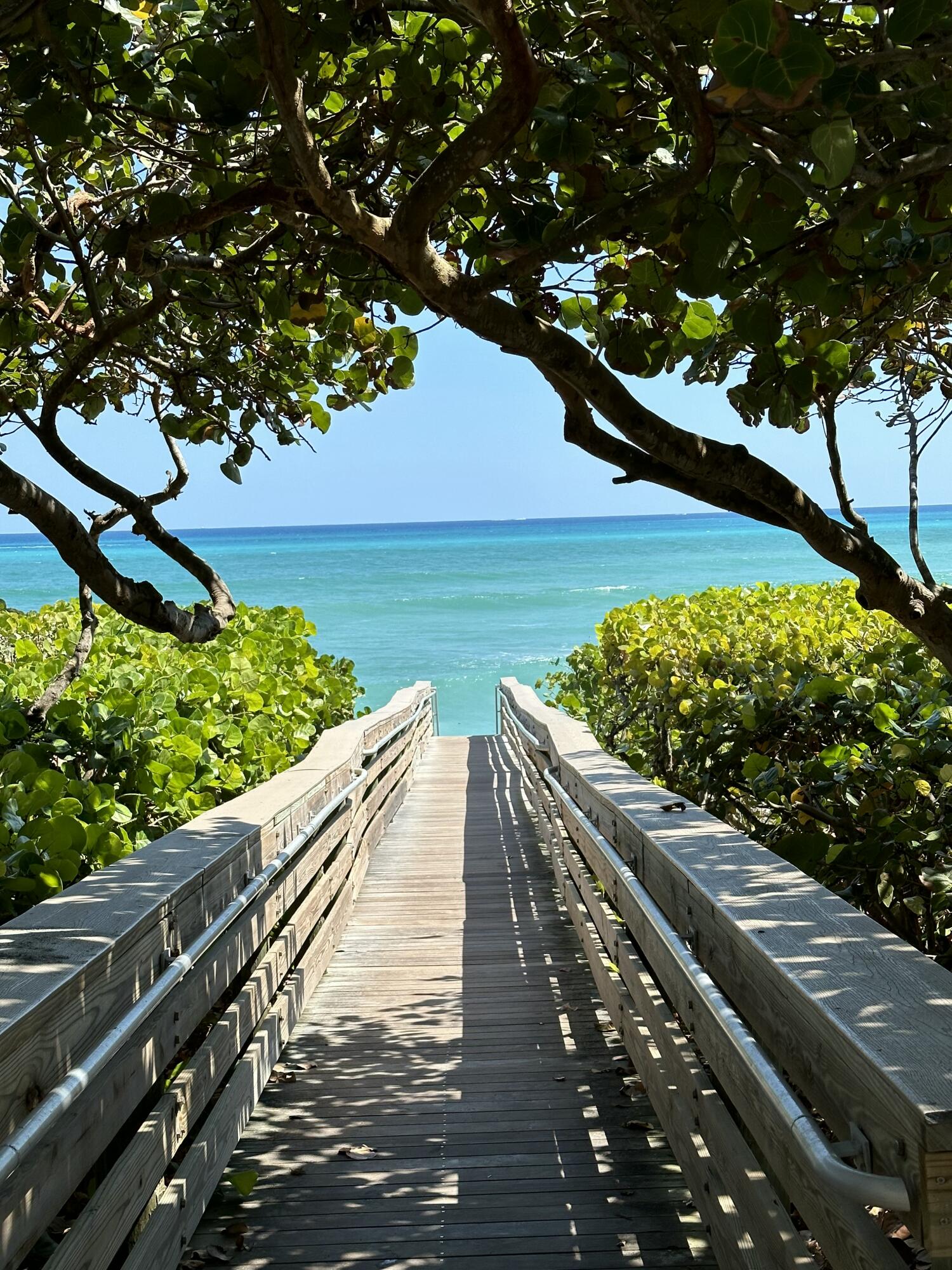 1300 Jimmy Buffett Mem Highway, Unit 209 Jupiter, FL 33477 - Photo 3 of 11 IMG_6581 (3)