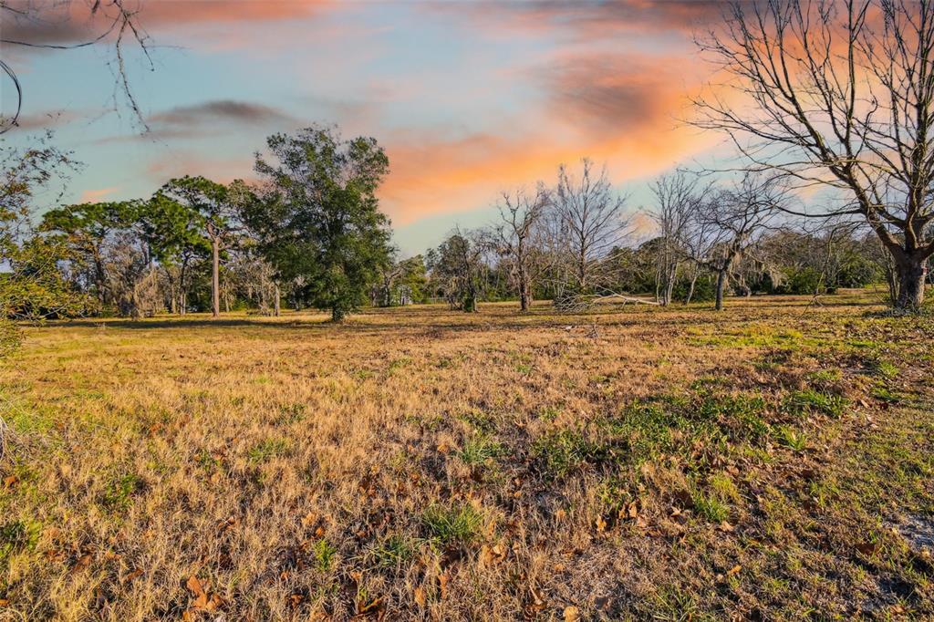 0 Little Road Hudson, FL 34669 - Photo 1 of 1 Gallery Image 1