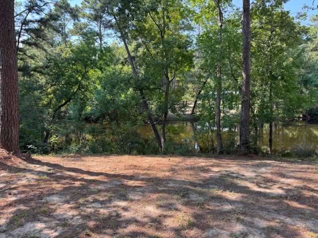 315 Cessna Road Trinity, TX 75862 - Photo 2 of 37