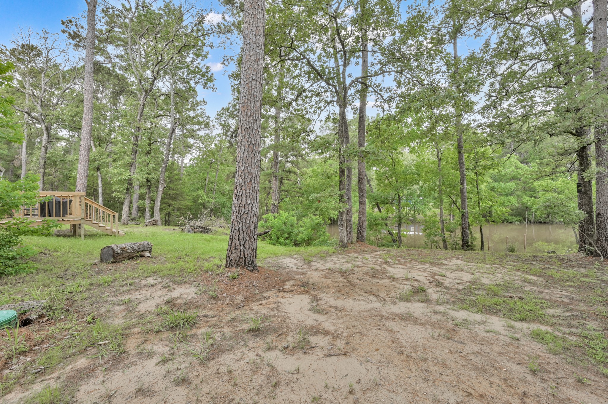 315 Cessna Road Trinity, TX 75862 - Photo 27 of 37 a view of a yard with a tree