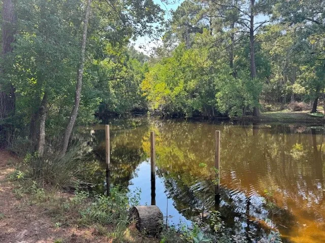 a view of outdoor space with trees