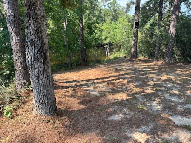 315 Cessna Road Trinity, TX 75862 - Photo 7 of 37 a view of outdoor space with trees