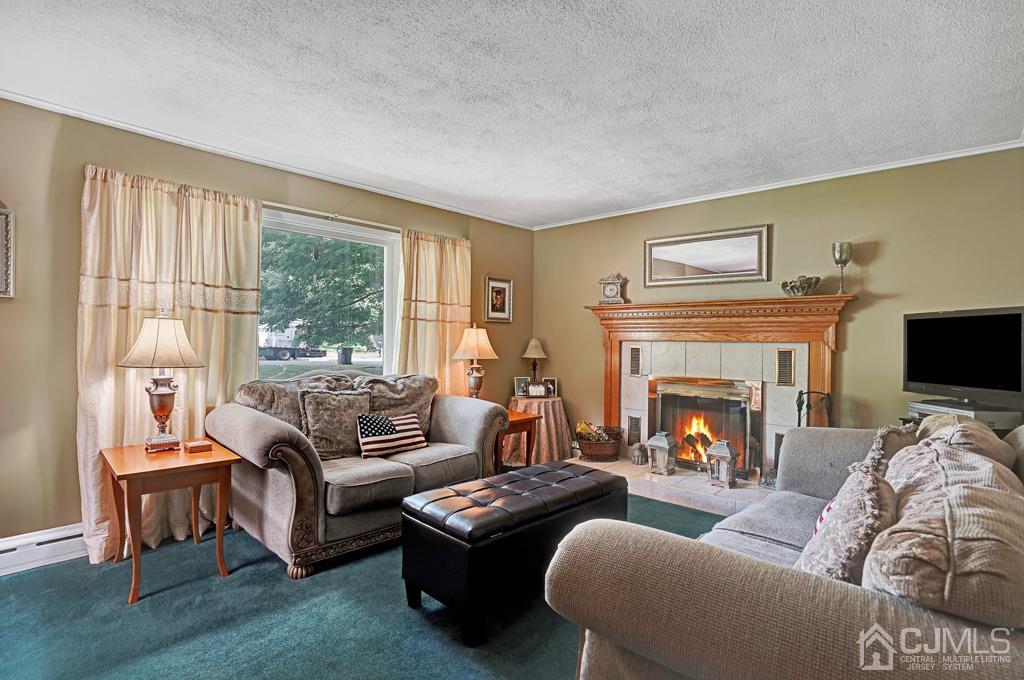 3 Blue Ridge Avenue Green Brook, NJ 08812 - Photo 2 of 30 a living room with furniture and a fireplace