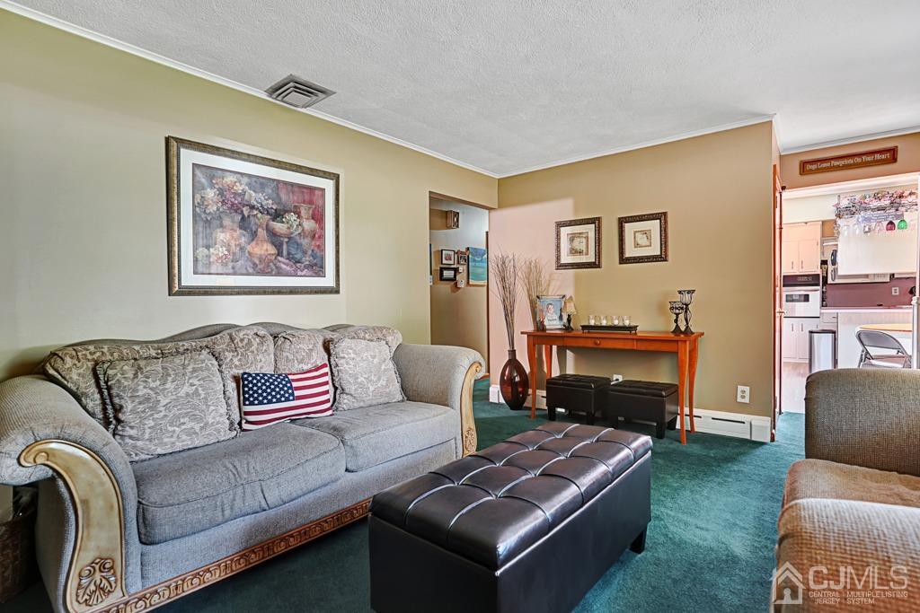 3 Blue Ridge Avenue Green Brook, NJ 08812 - Photo 3 of 30 a living room with furniture and a fireplace
