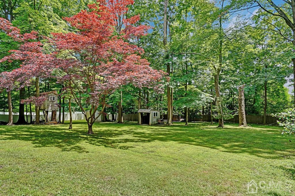 3 Blue Ridge Avenue Green Brook, NJ 08812 - Photo 29 of 30 a view of a trees in a park