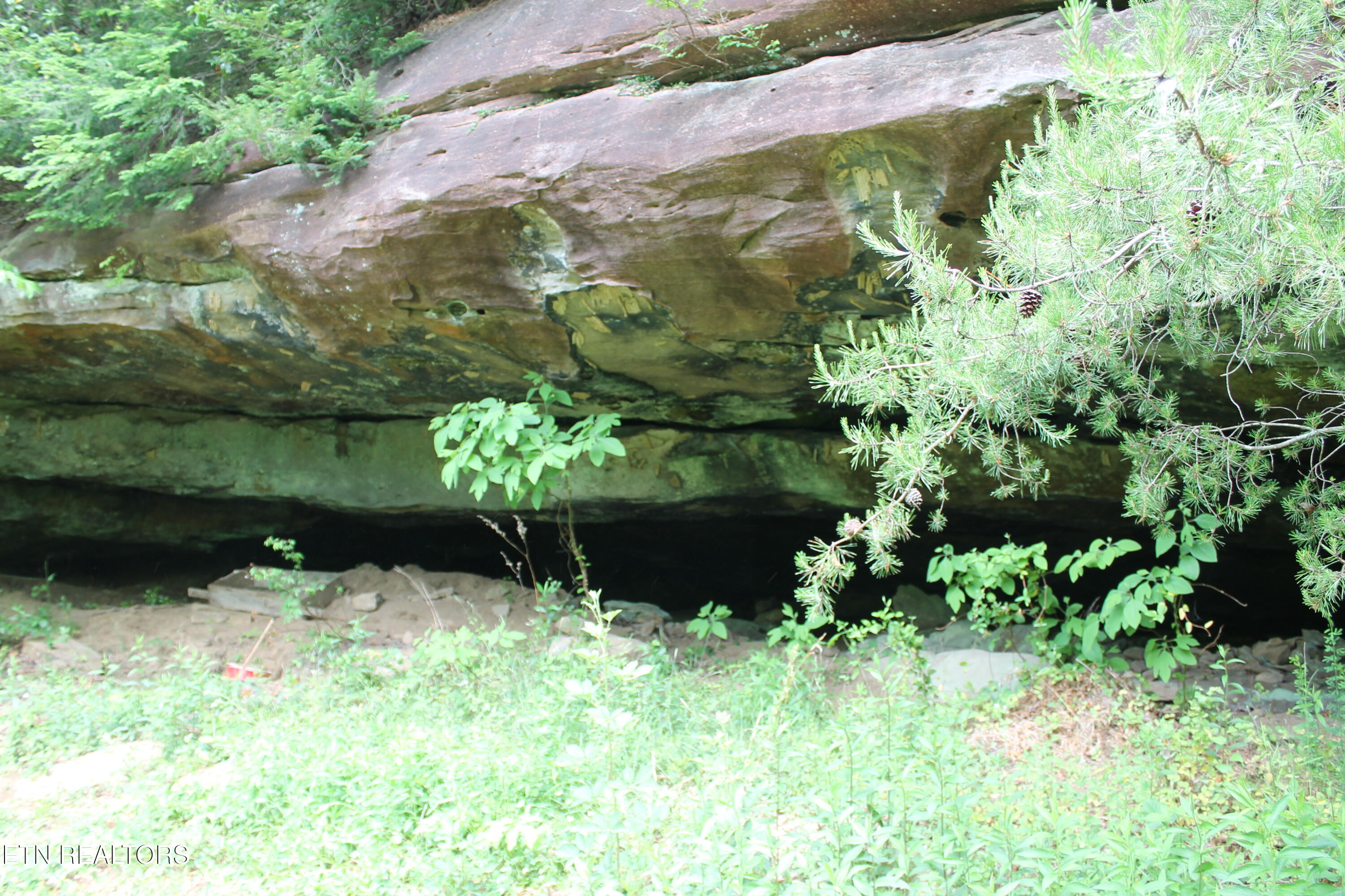 232 Wright Cemetery Road Allardt, TN 38504 - Photo 30 of 39 IMG_8075