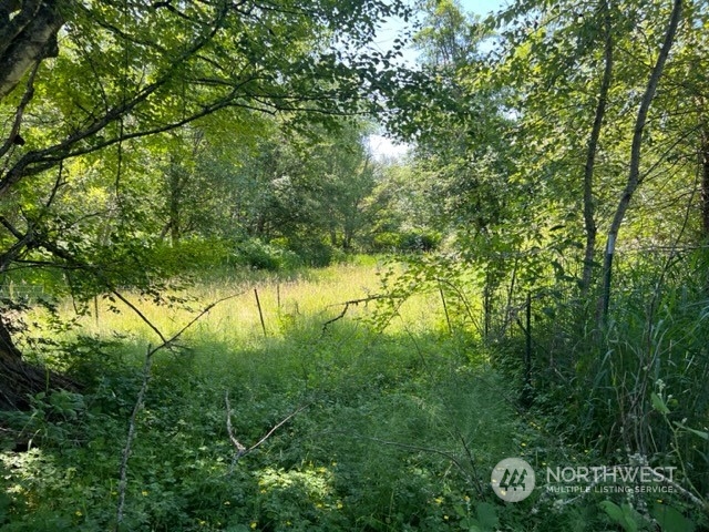 5198 N.P. Road Acme, WA 98220 - Photo 20 of 23 Gallery Image 20