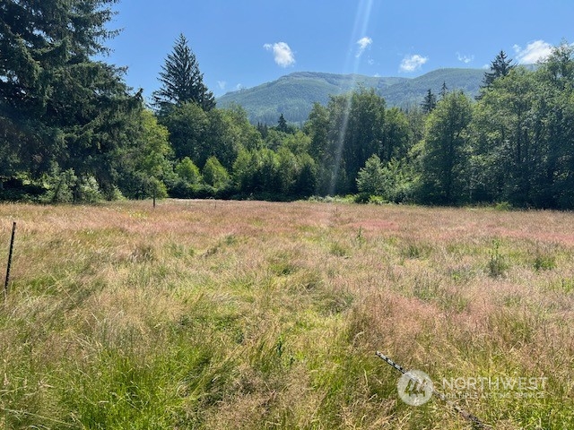 5198 N.P. Road Acme, WA 98220 - Photo 2 of 23 Gallery Image 2