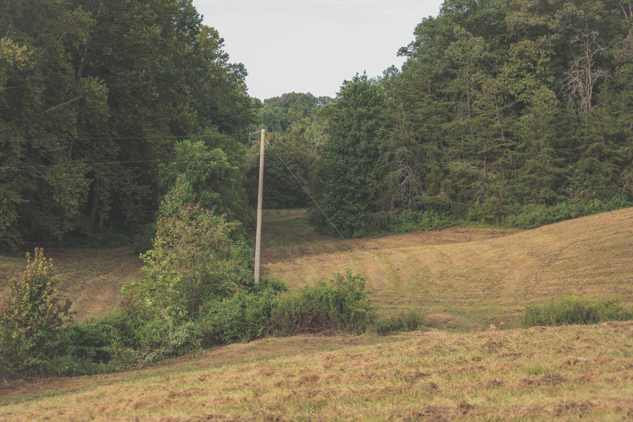1634 Dixon Branch Road Sevierville, TN 37876 - Photo 64 of 86 Gallery Image 64