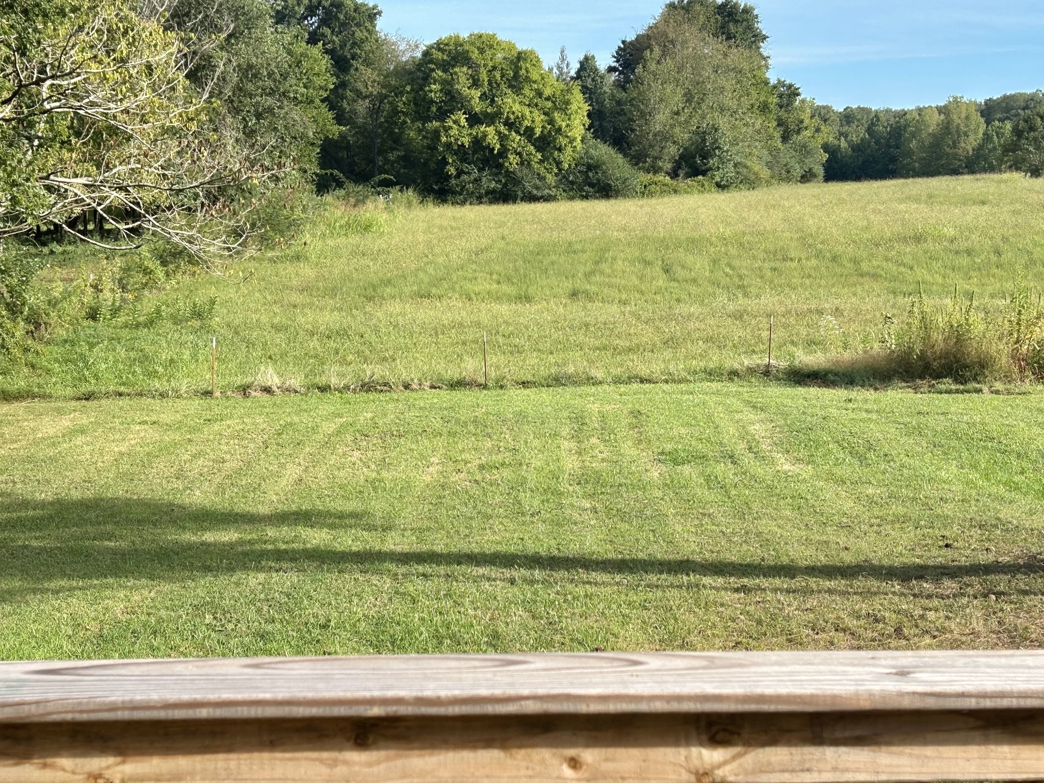 3786 Gnat Hill Road Manchester, TN 37355 - Photo 65 of 71 a view of a yard with an ocean view