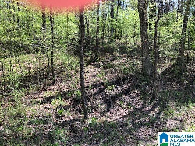1930 Paradise Valley Road, Unit 1 Gardendale, AL 35071 - Photo 1 of 1