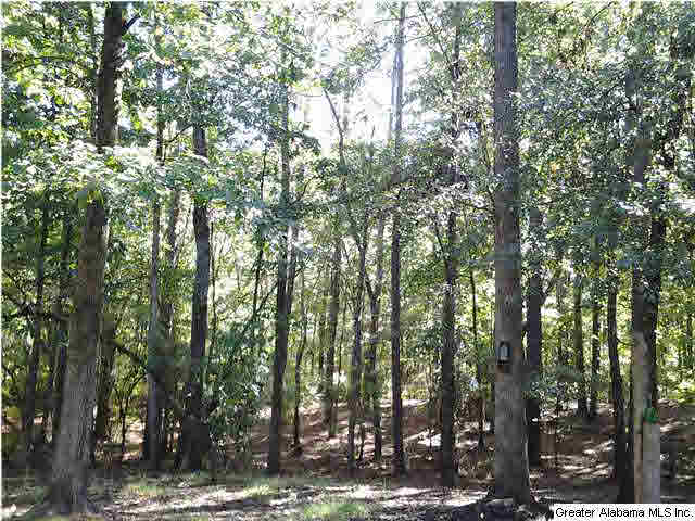 200 Collins Road Wilsonville, AL 35186 - Photo 3 of 25