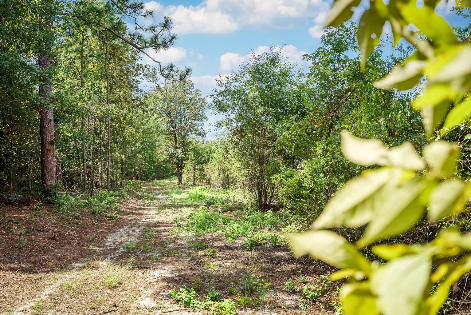Lot 4-1 Simonside Court Aiken, SC 29803 - Photo 29 of 31
