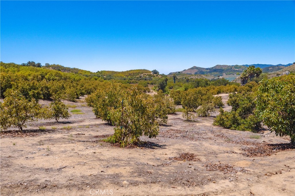2526 Camaron Road Temecula, CA 92590 - Photo 15 of 34