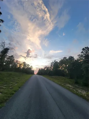 a view of a garden with a house