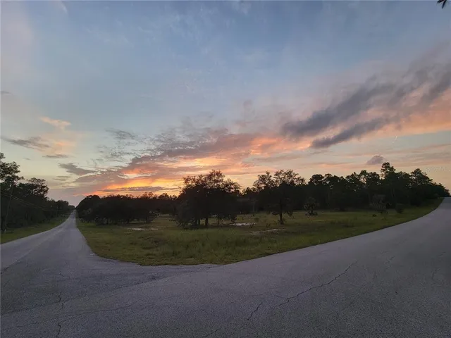 a view of a yard in front of a house with a yard
