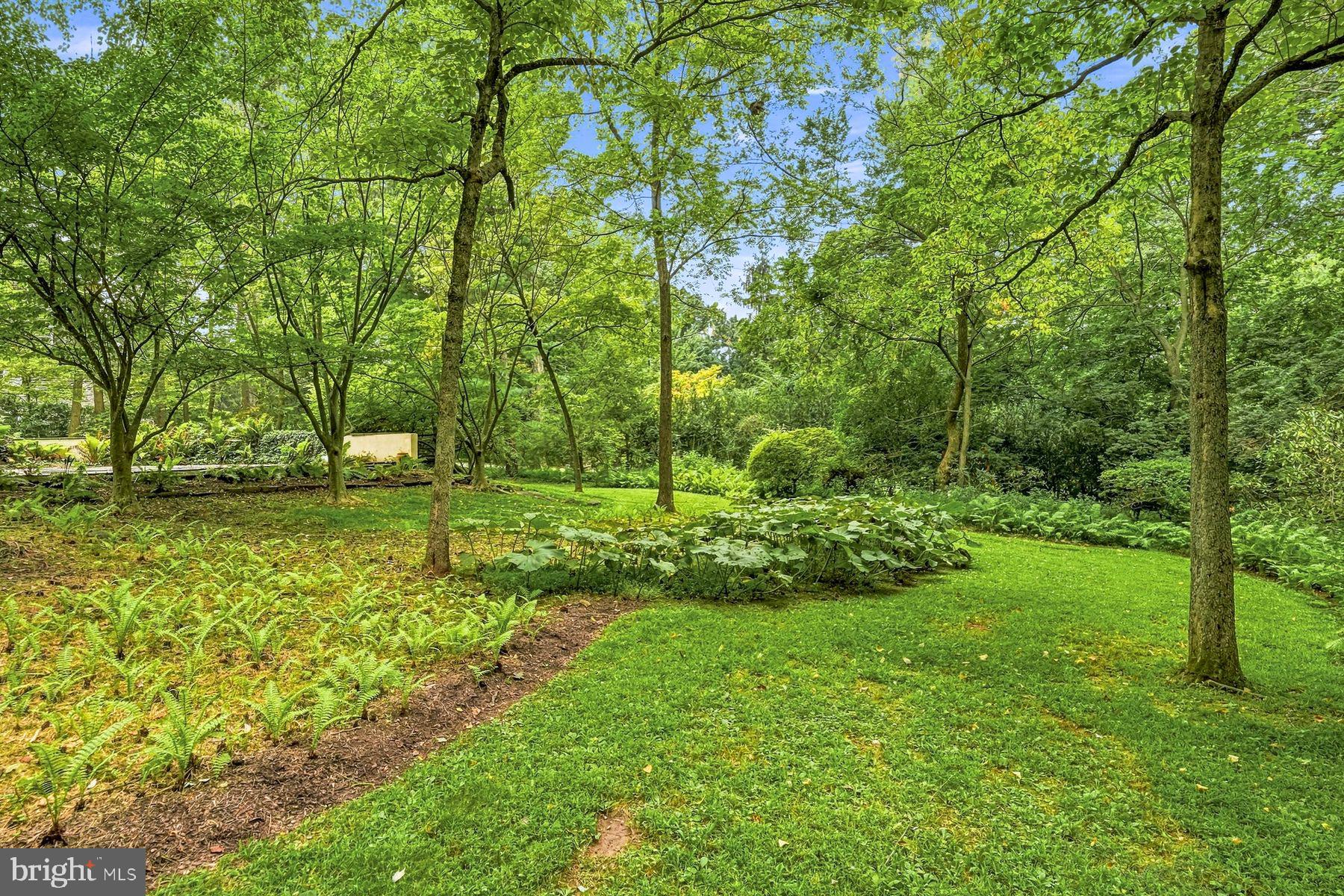 815 Black Rock Road Gladwyne, PA 19035 - Photo 41 of 58 Gallery Image 41