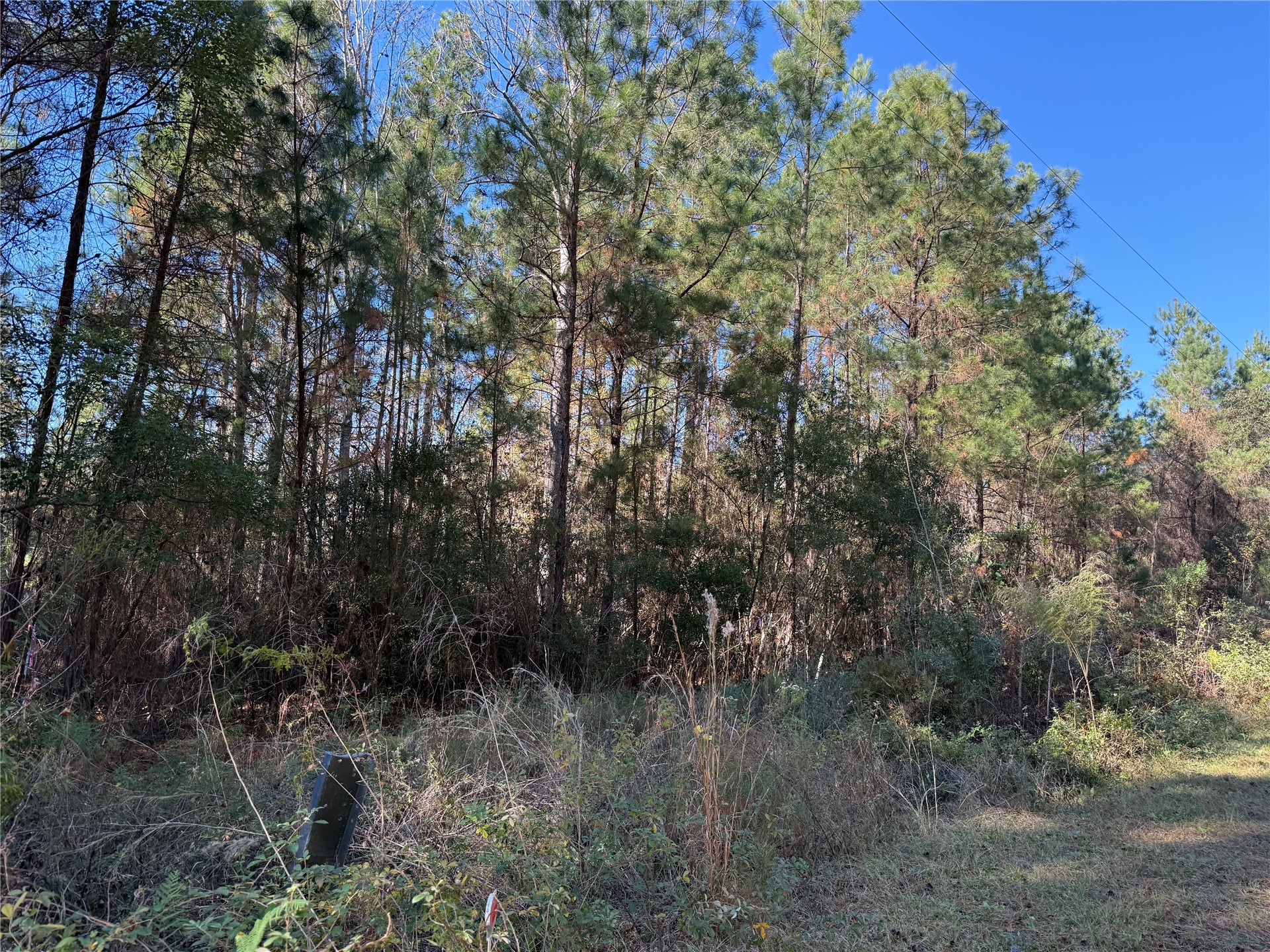 0 Do Hi Way Hilliard, FL 32046 - Photo 13 of 32 Gallery Image 13