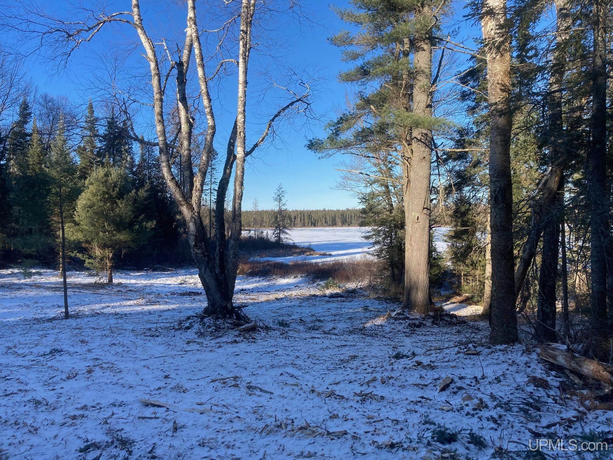 527 Usfs Road Iron River, MI 49935 - Photo 32 of 37
