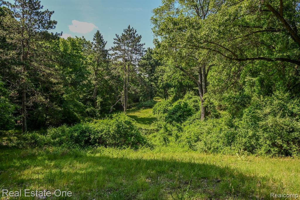 1832 West Commerce Road Milford, MI 48380 - Photo 5 of 13
