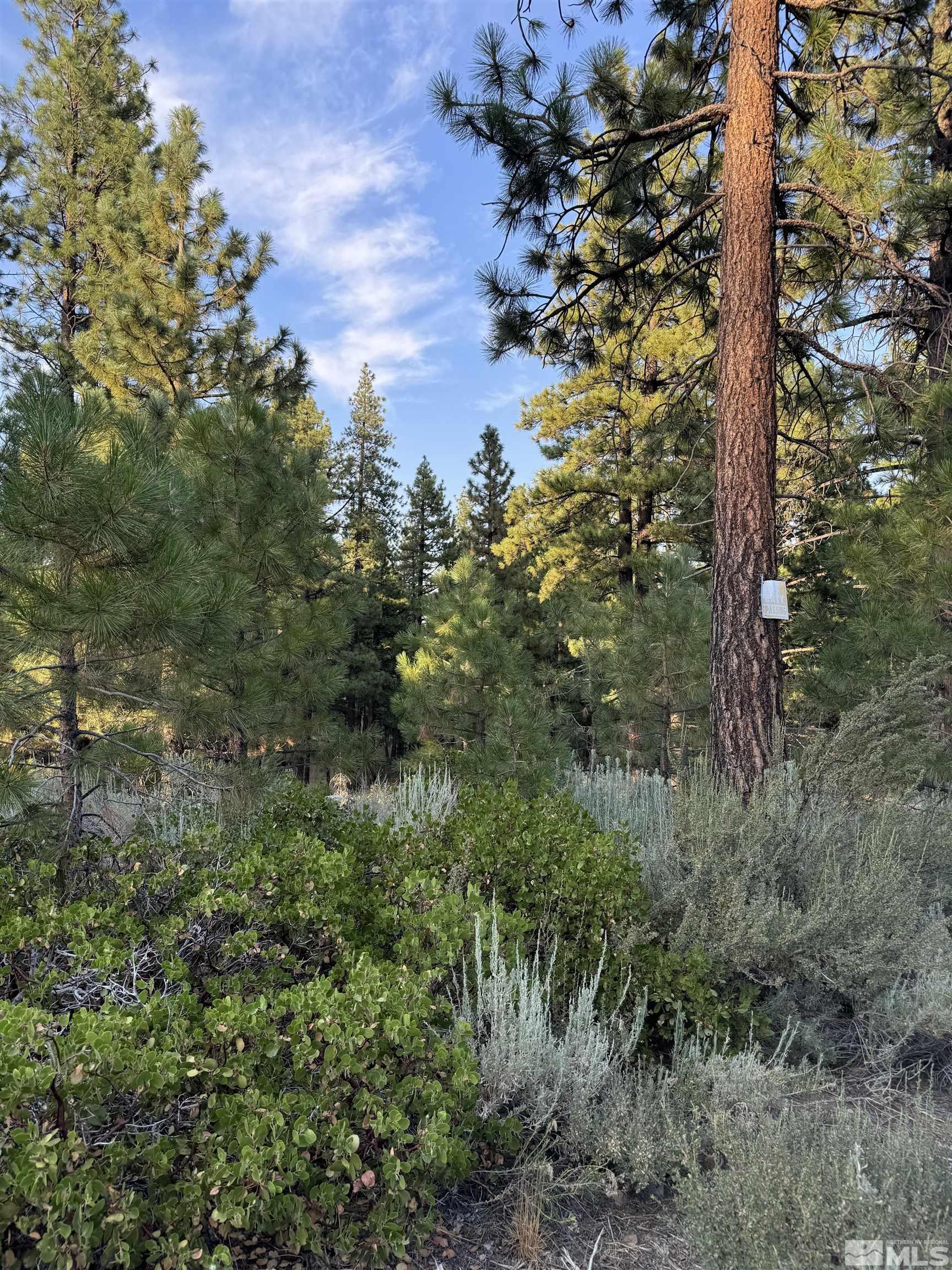 0 Joy Lake Road Reno, NV 89511 - Photo 1 of 19 Photo 1