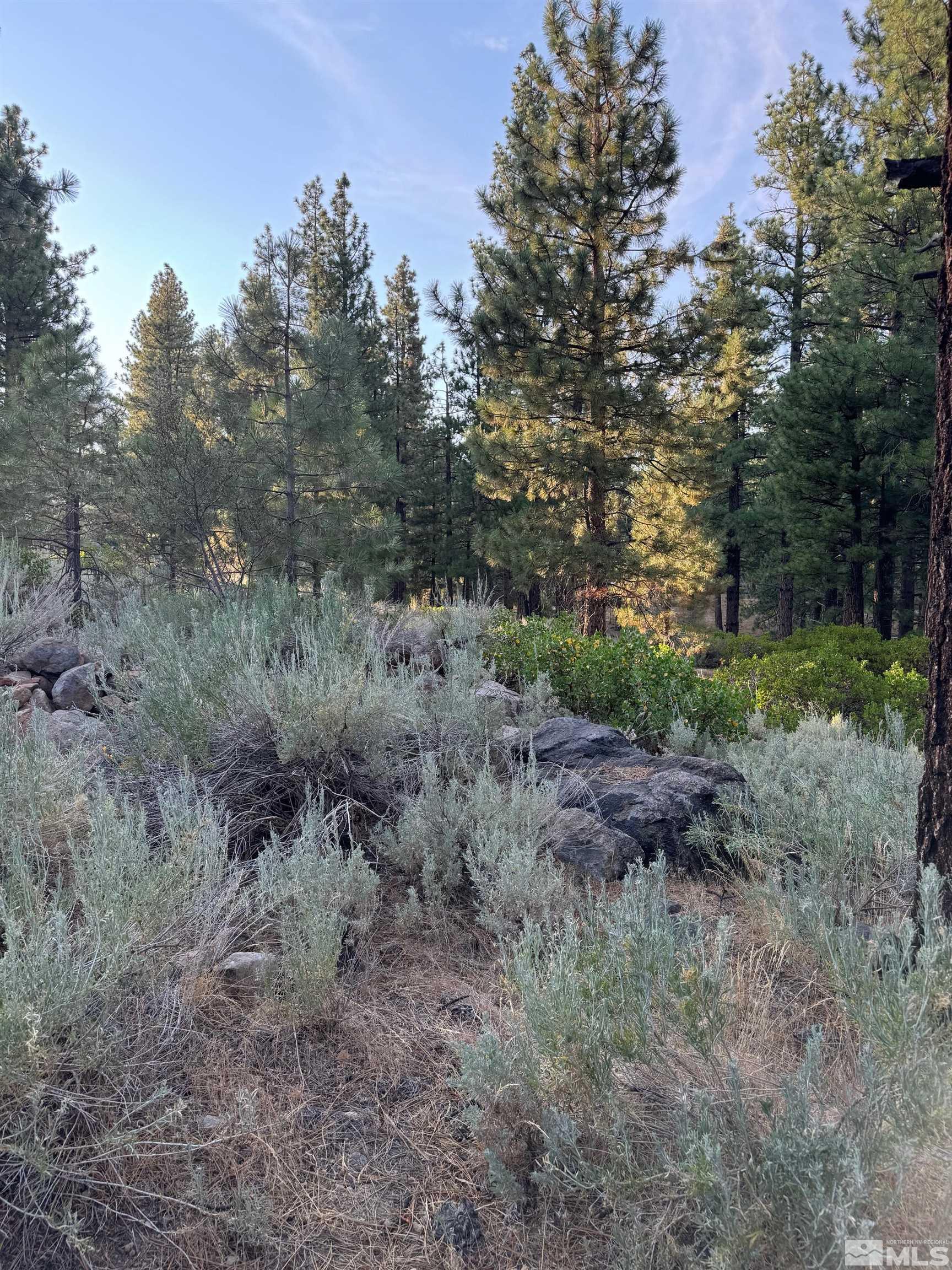 0 Joy Lake Road Reno, NV 89511 - Photo 12 of 19 Photo 12