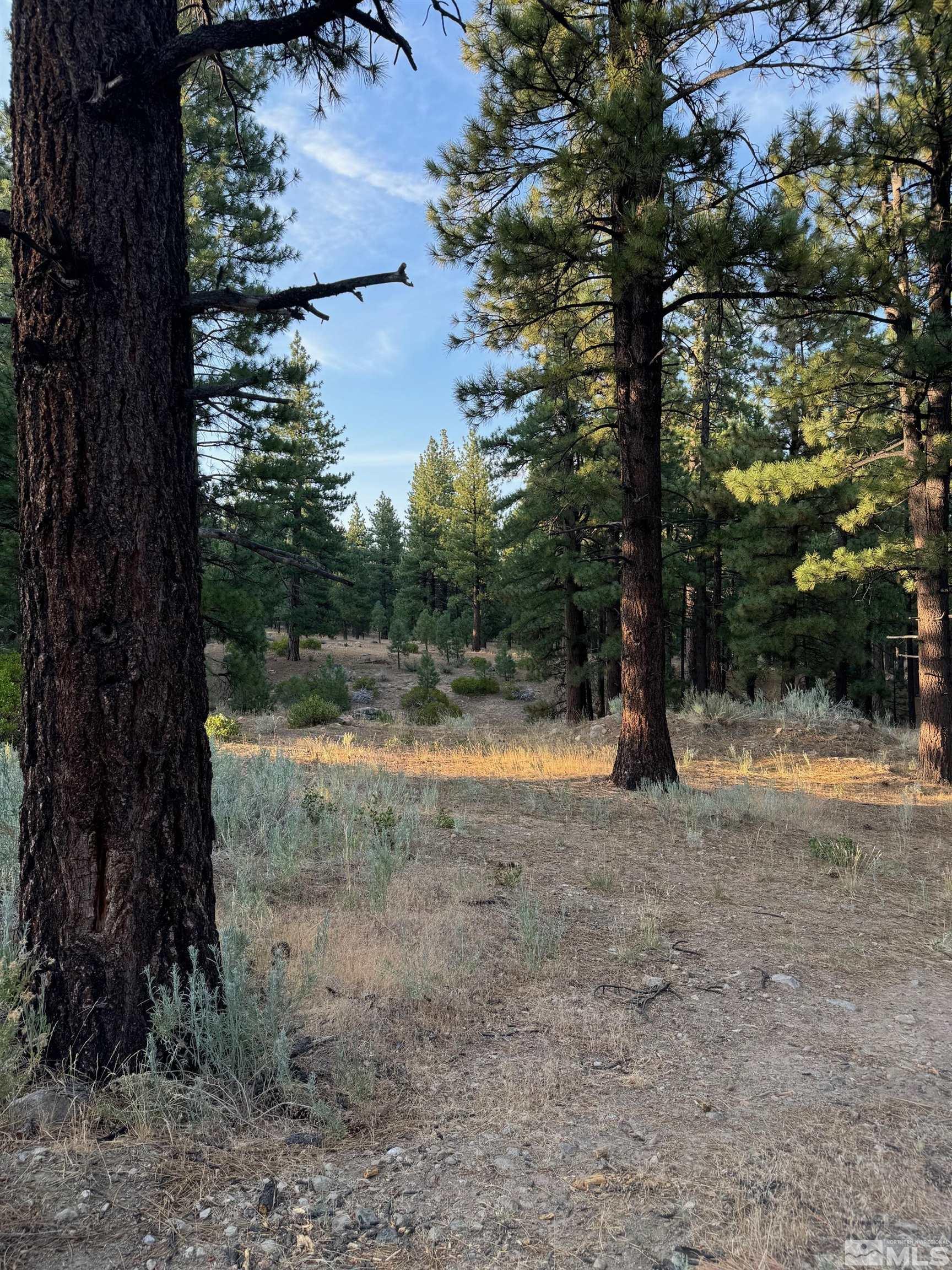 0 Joy Lake Road Reno, NV 89511 - Photo 13 of 19 Photo 13