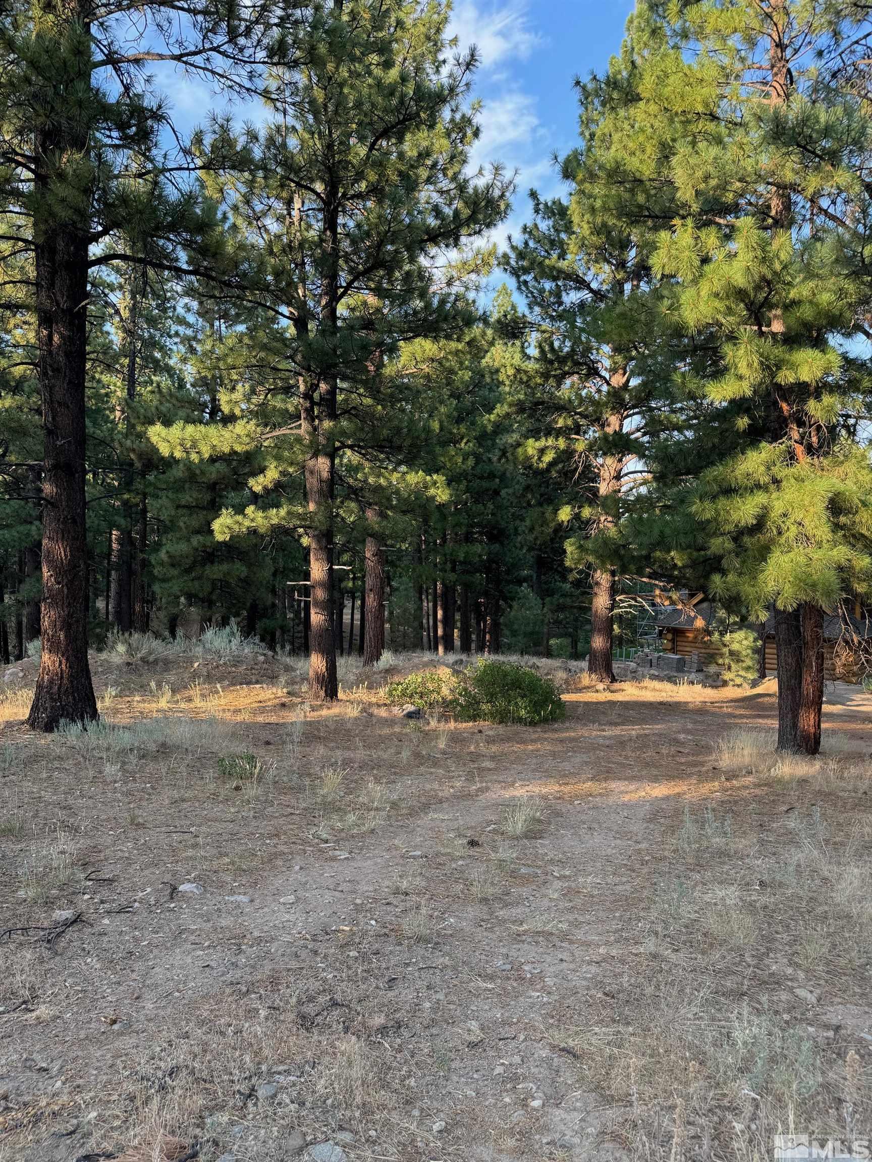 0 Joy Lake Road Reno, NV 89511 - Photo 14 of 19 Photo 14
