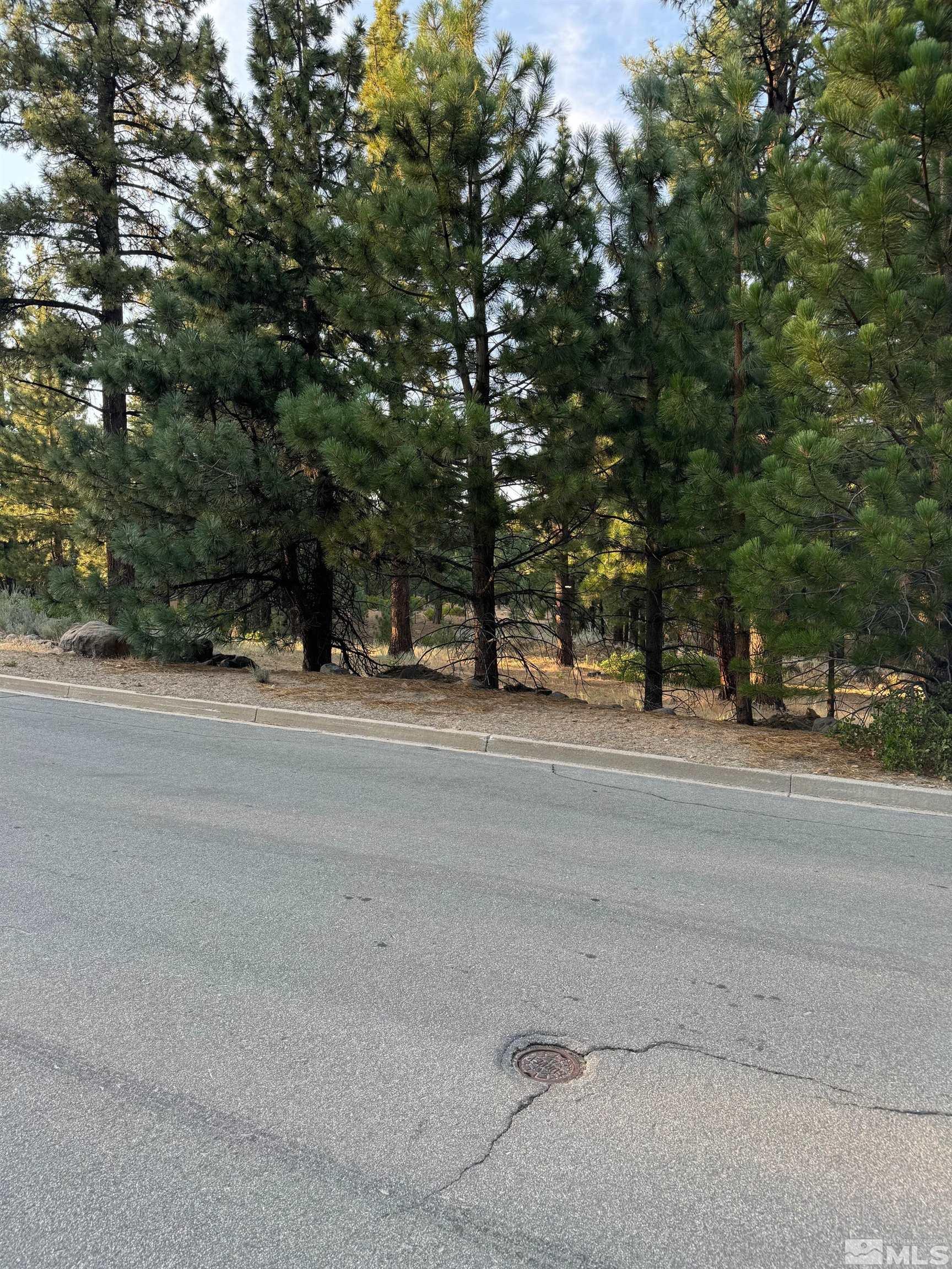 0 Joy Lake Road Reno, NV 89511 - Photo 15 of 19 Photo 15