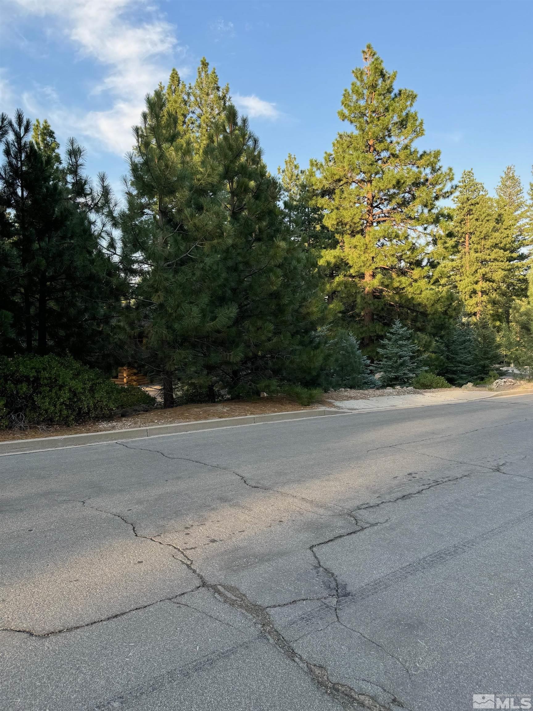 0 Joy Lake Road Reno, NV 89511 - Photo 17 of 19 Photo 17